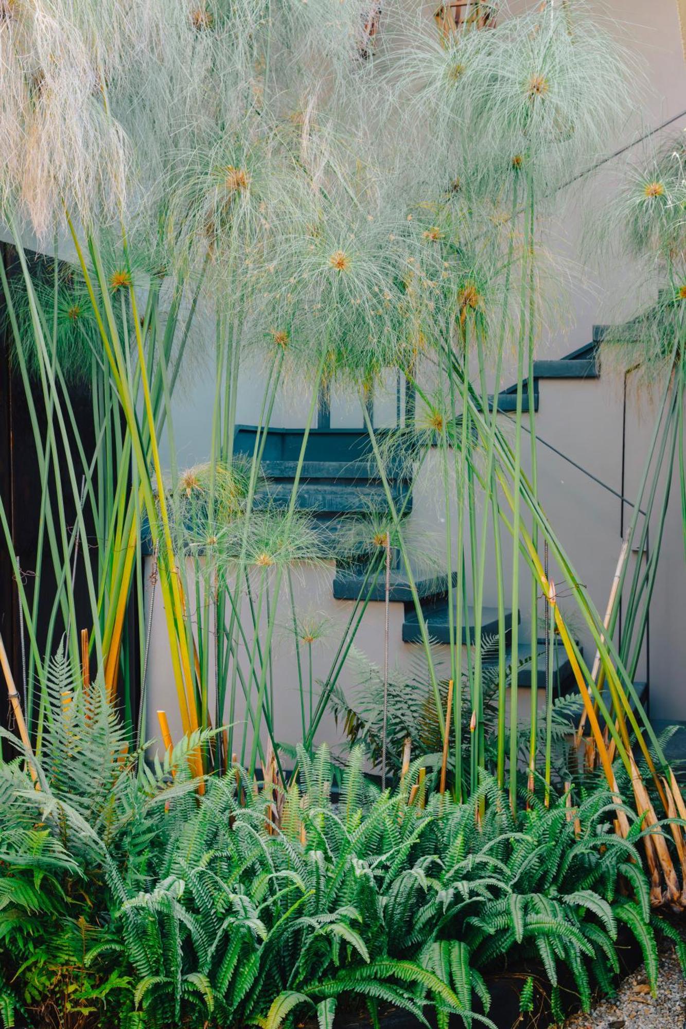 Casa Chichipicas Boutique Valle de Bravo